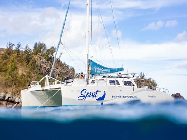 Pacific Whale Foundation - Honolua Snorkel Sail